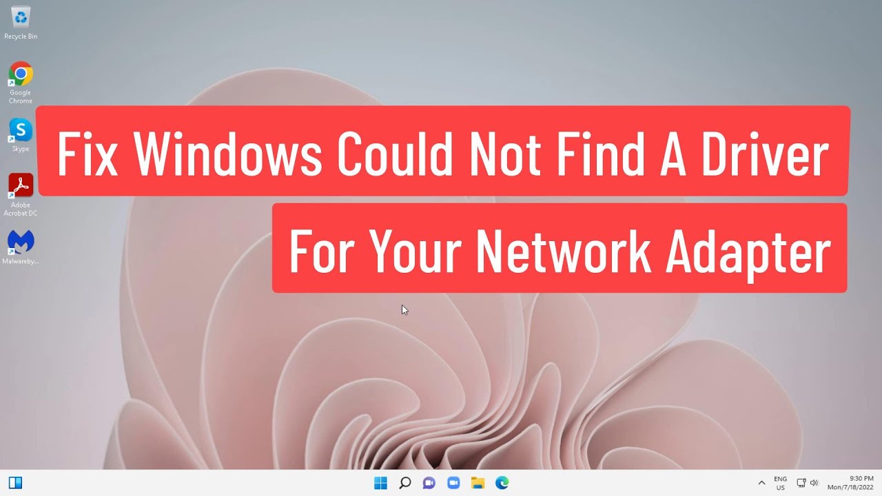 Solución: No se encuentra un controlador para el adaptador de red en Windows