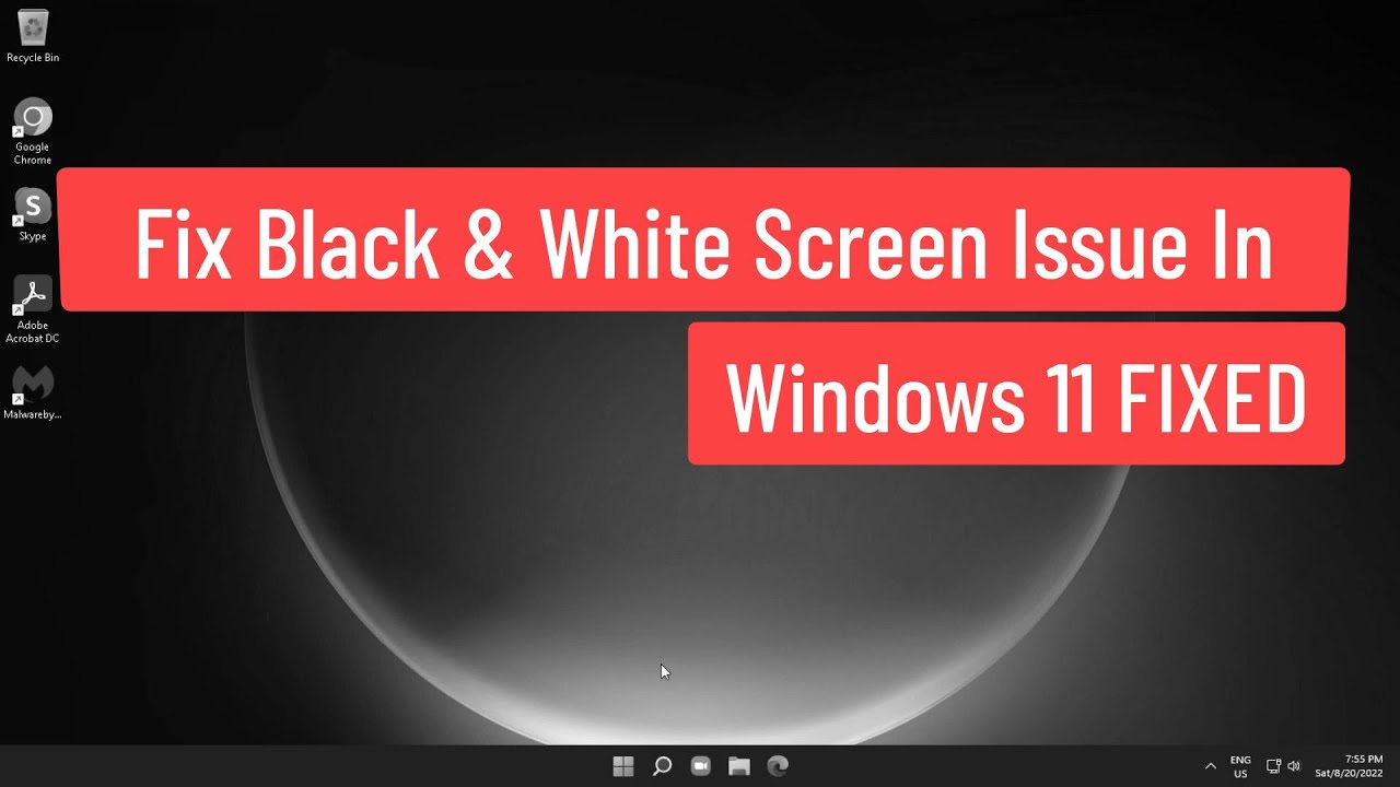 Problema de pantalla en blanco y negro en Windows 11 – SOLUCIONADO