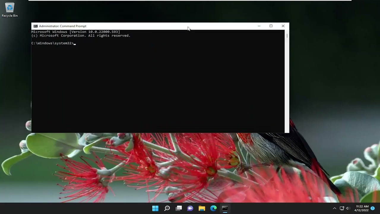«Solución para licencia de Windows expirando pronto en Windows 11»