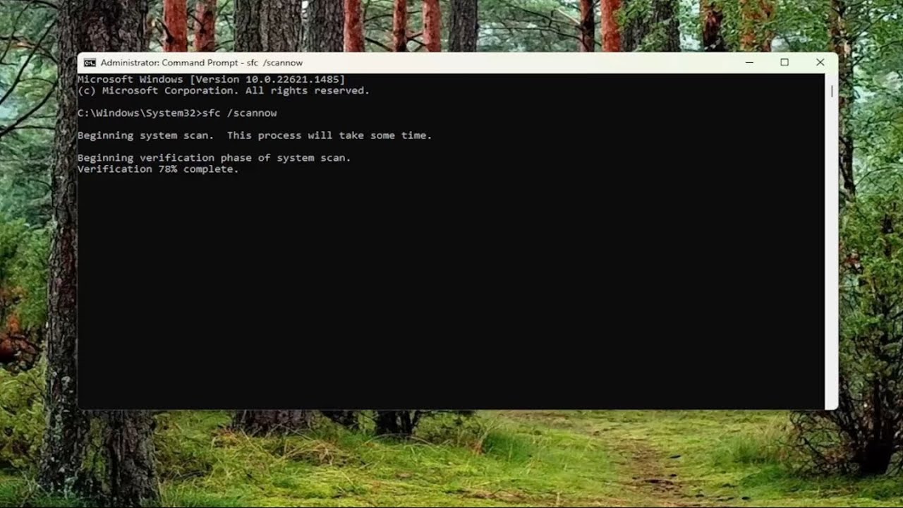 Solución Error 0x80131500 en Microsoft Store Windows 11 [Tutorial]