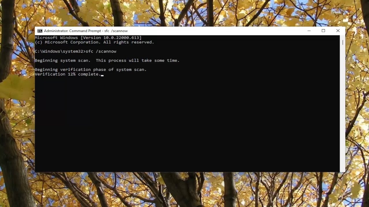 Resolución de problemas de Windows Update.