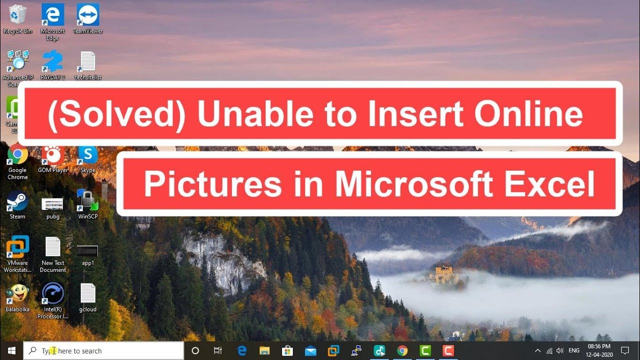 No se pueden insertar imágenes en línea en Microsoft Excel