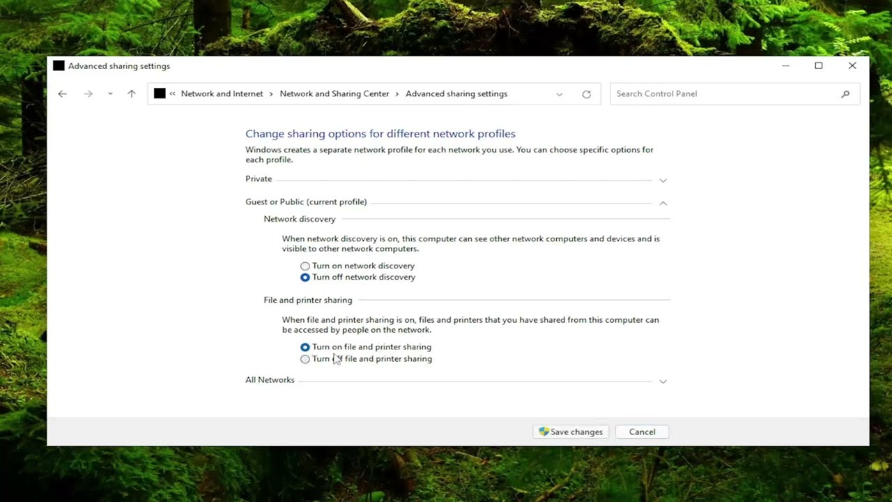 Solución para problema de conexión de impresora Epson en Windows 11/10