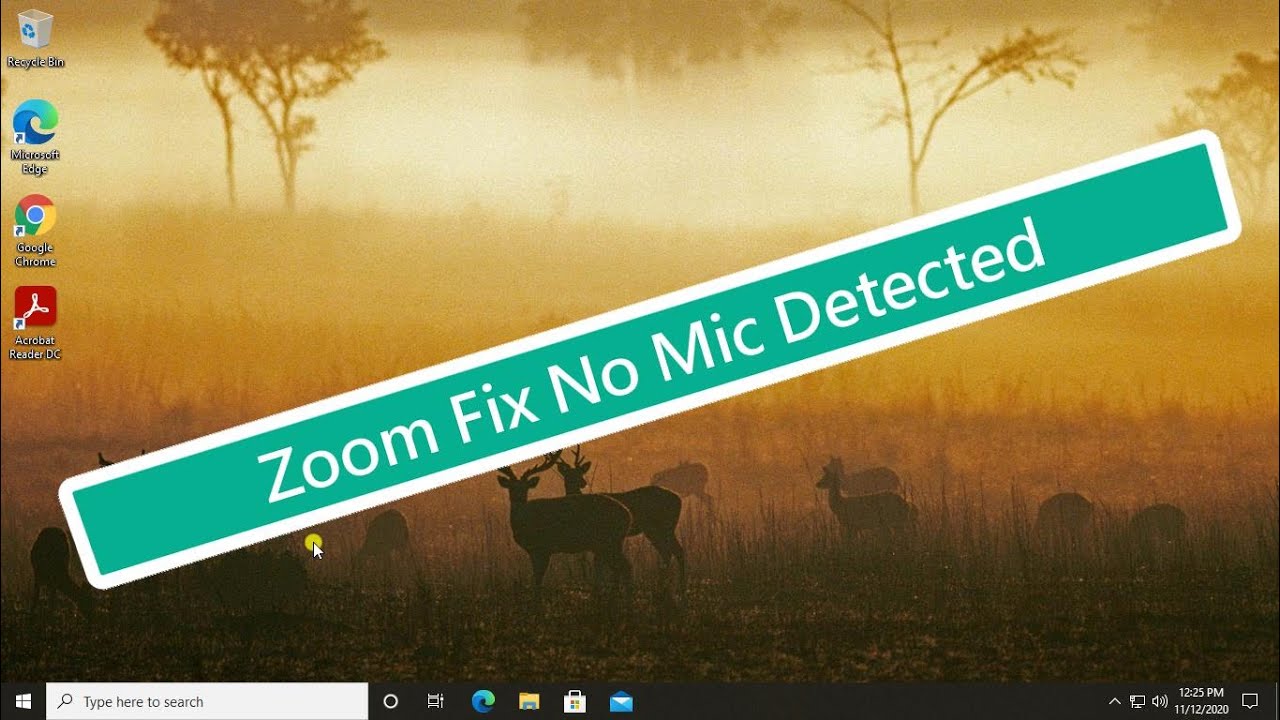 Solución de Zoom: No se detecta el micrófono