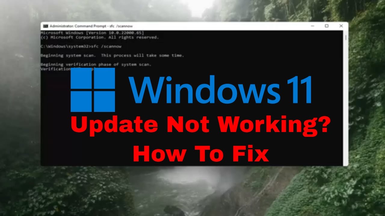 Cómo solucionar errores de actualización de Windows 11