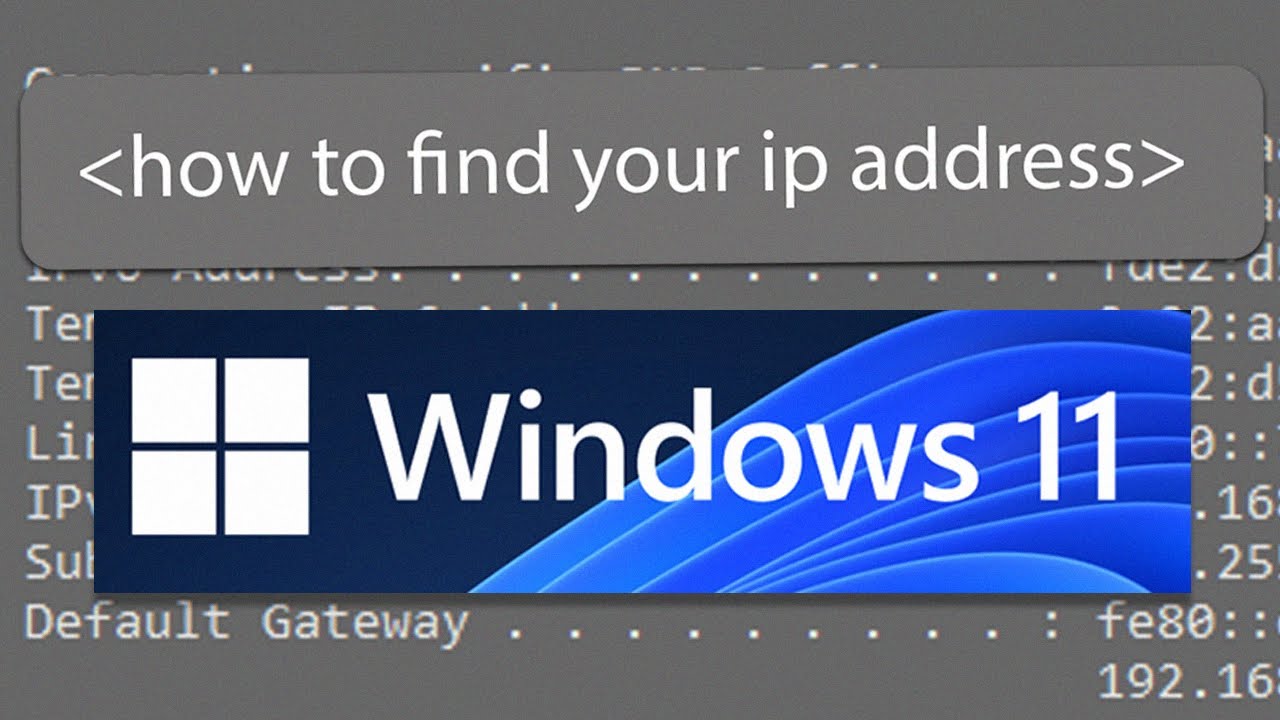 Cómo encontrar tu dirección IP en Windows 11: 2 formas sencillas
