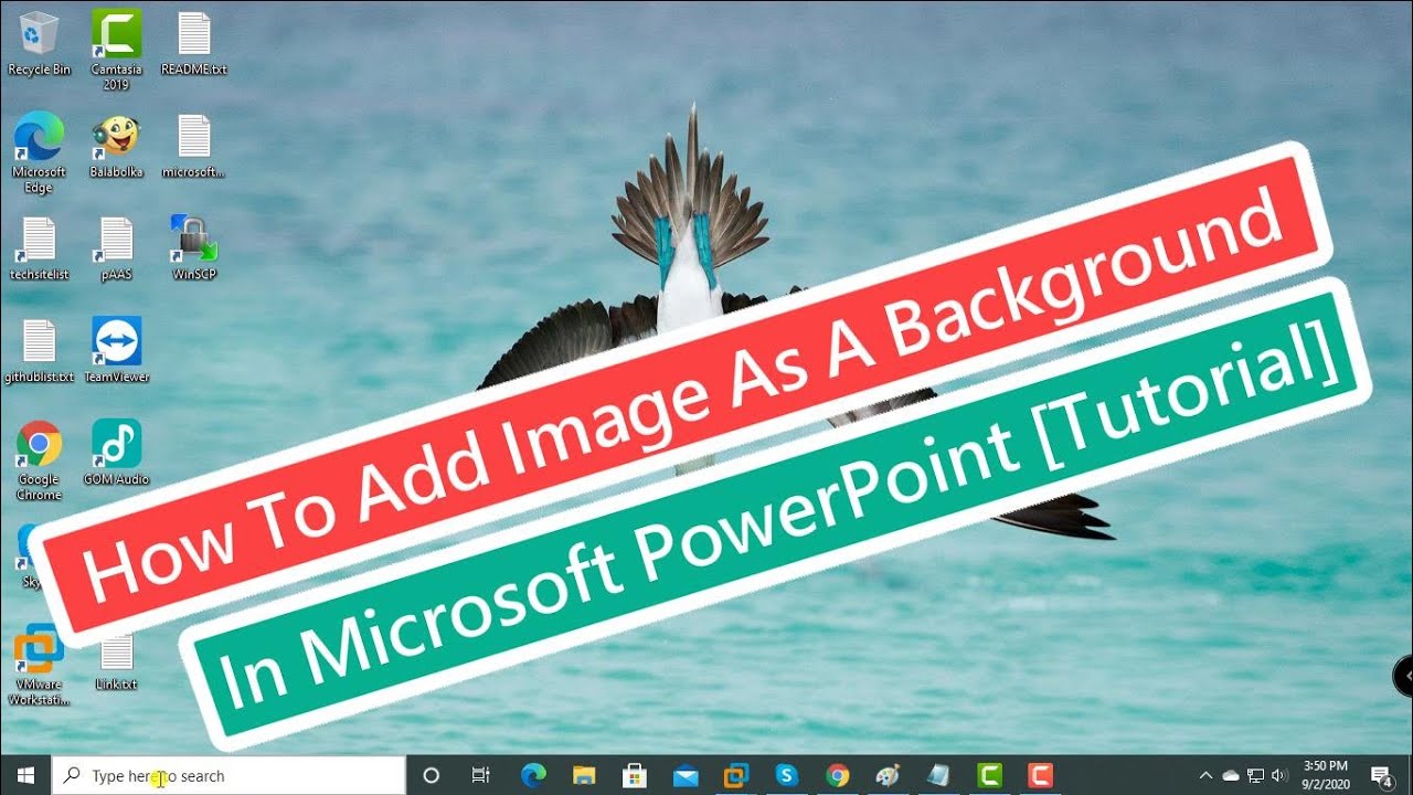 Agregar imagen como fondo en PowerPoint: tutorial