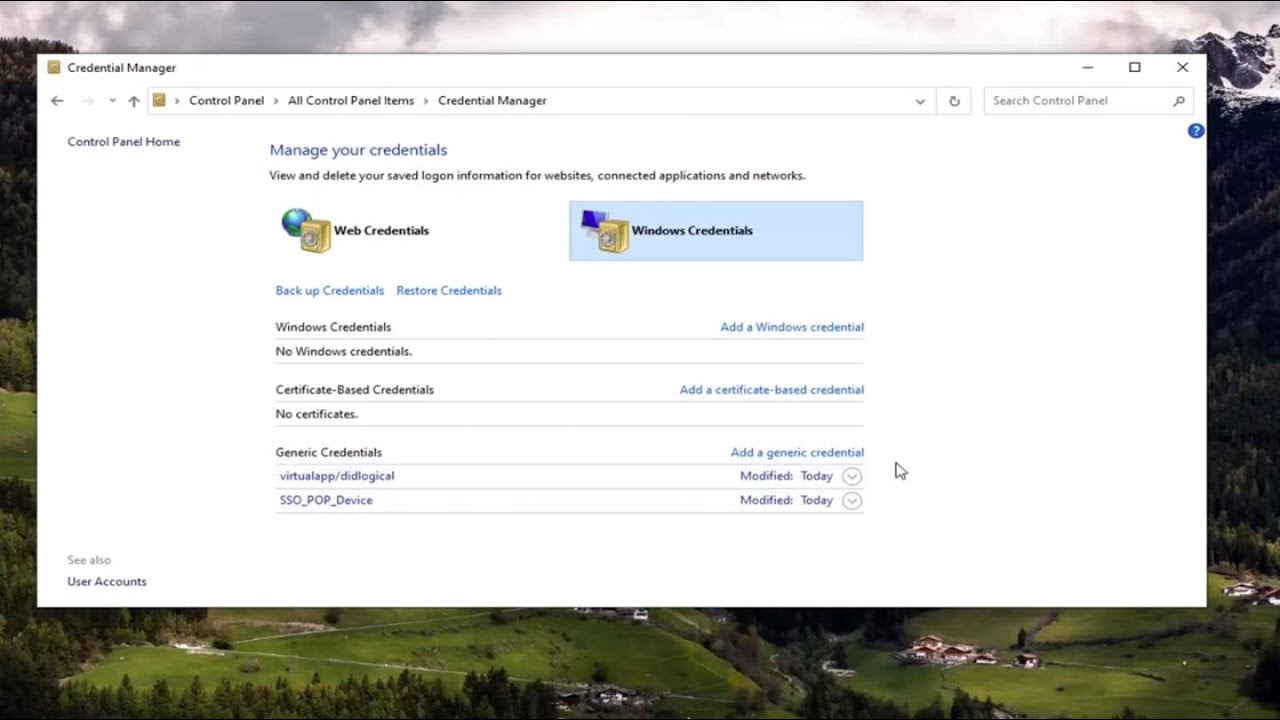 «Eliminar credenciales de red en Windows 10»