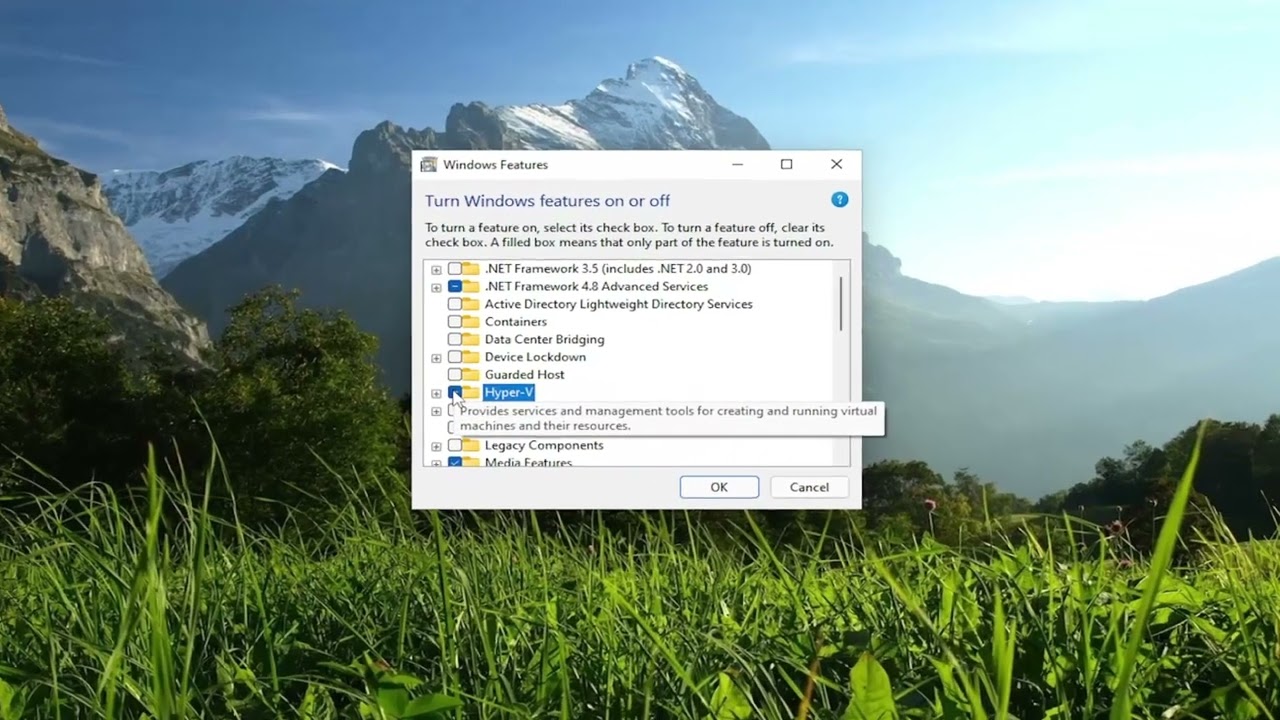 «Configurar y gestionar características de Windows en Windows 11»