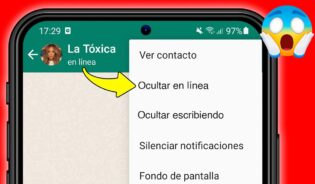 Cómo configurar whatsapp para no salir en linea