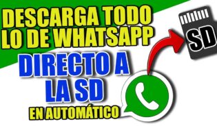Cómo configurar descarga de archivos de whatsapp ala tarjeta sd