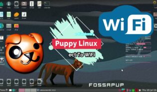 Cómo configurar el wifi en puppy linux