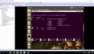 Cómo configurar el dns en ubuntu 14.04