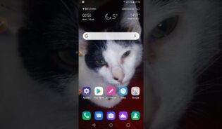 Cómo configurar los datos moviles antel