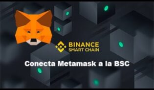 Cómo configurar red smart chain en metamask