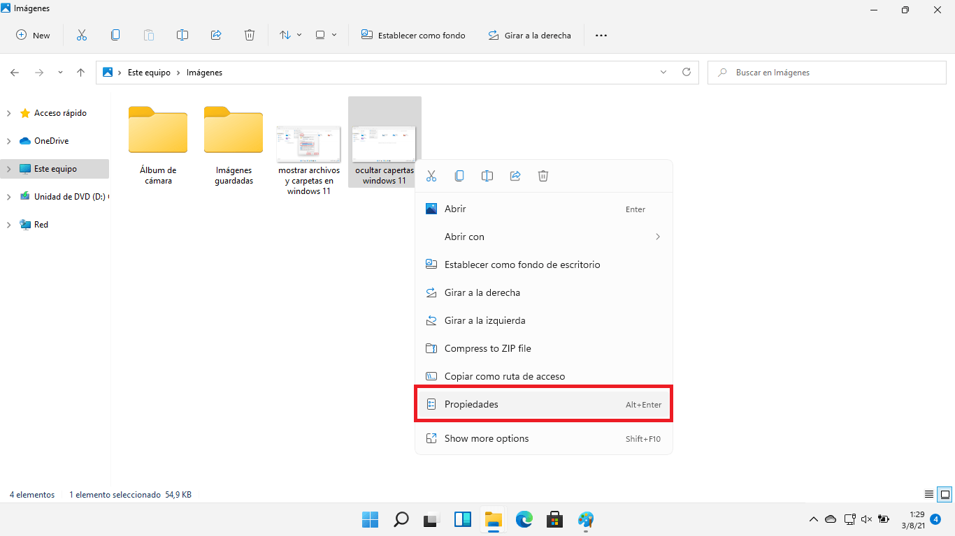 Tipos de archivos ocultos en Windows 11