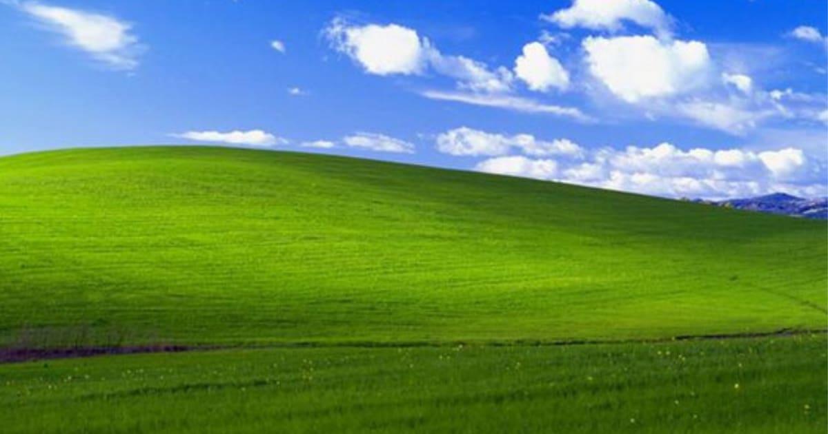 Colina verde Bliss de Windows XP
