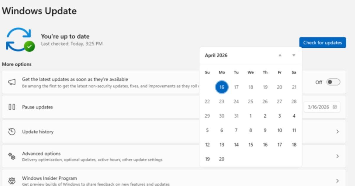 Opciones de pausa Windows Update
