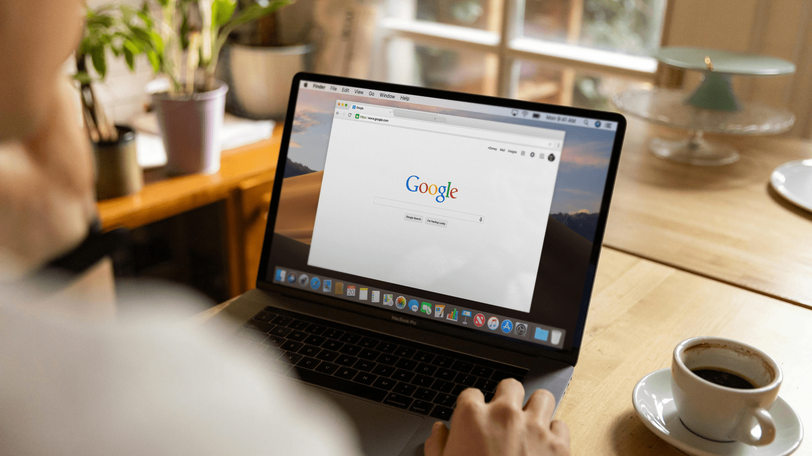 Archivo weights.bin de IA local en Chrome
