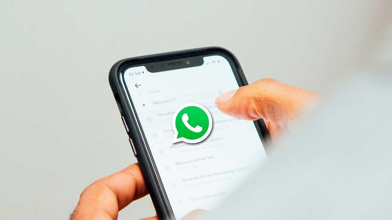 Limpieza de WhatsApp