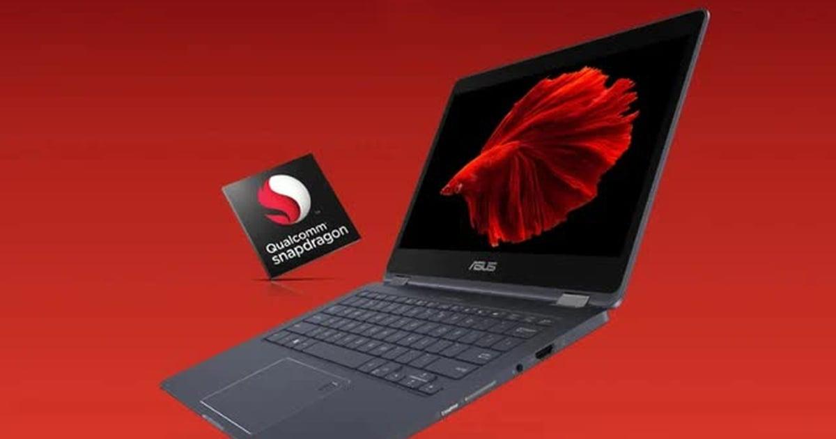 Snapdragon C
